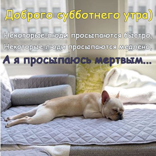 Открытки с добрым утром субботы прикольные