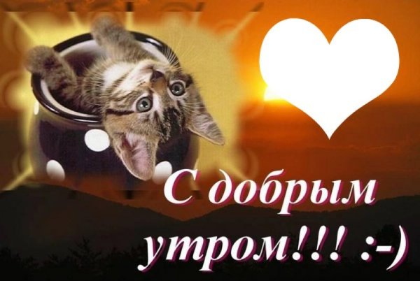 Открытки с добрым утром мужу