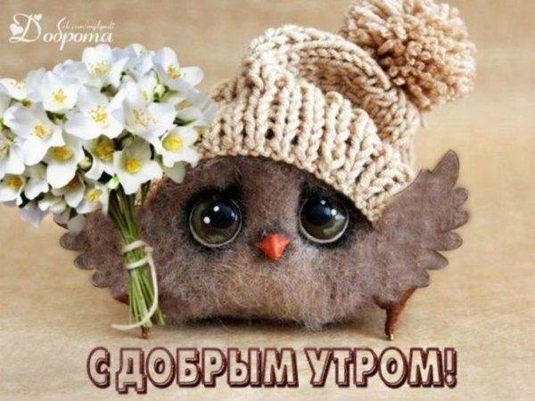 Оригинальные открытки с добрым утром