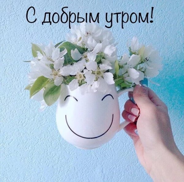 Оригинальные открытки с добрым утром