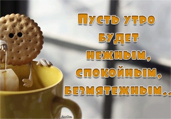 Веселые картинки с добрым утром