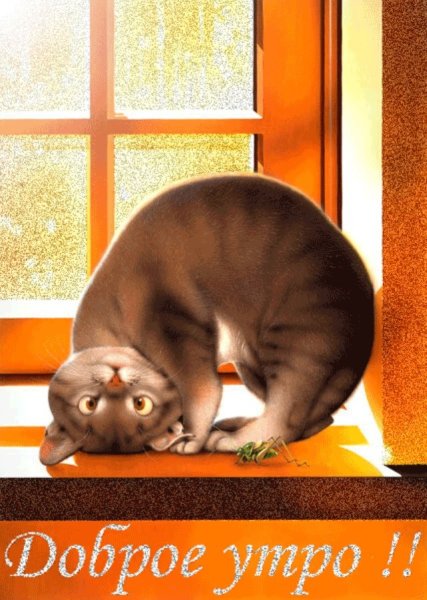 Коты японского художника Макото Мурамацу