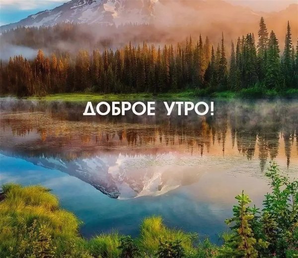 Картинки с добрым утром природа