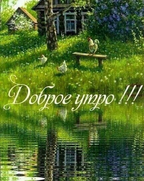 Пожелания с добрым утром с природой