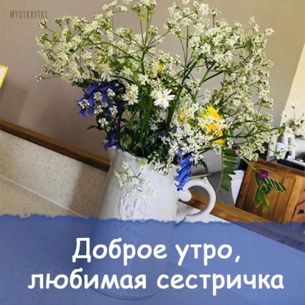 Доброе утро любимая сестричка