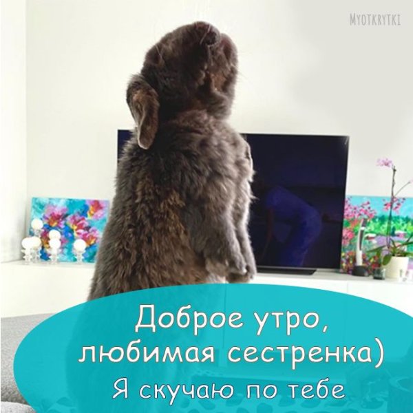 Доброе утро сестрёнка