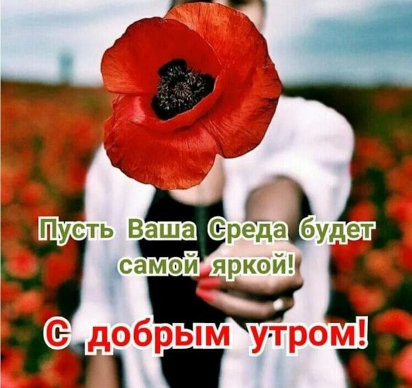 Доброе утро среды