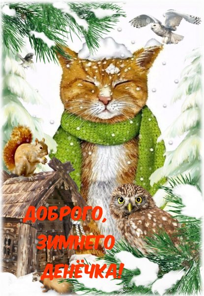 Доброе зимнее утро с котом