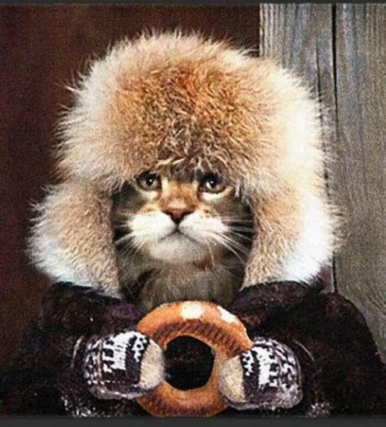 С добрым зимним утром прикольные