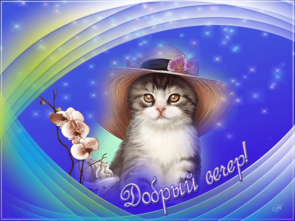 Открытки добрый вечер