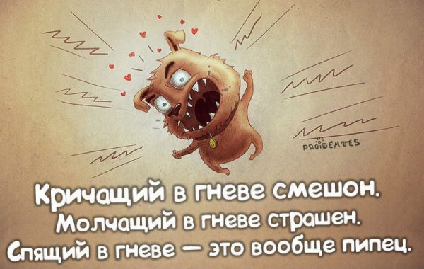 Смешные открытки