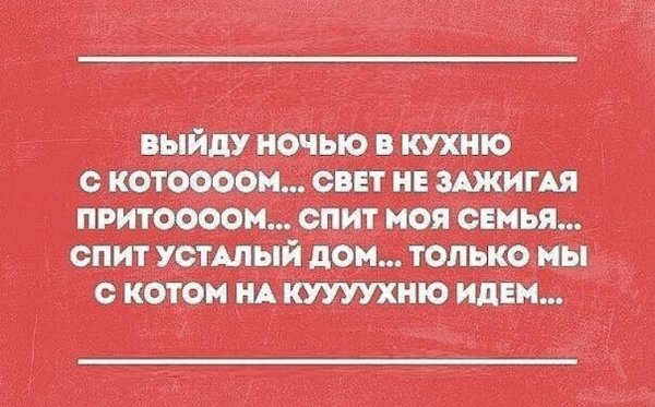 Сарказм смешные высказывания