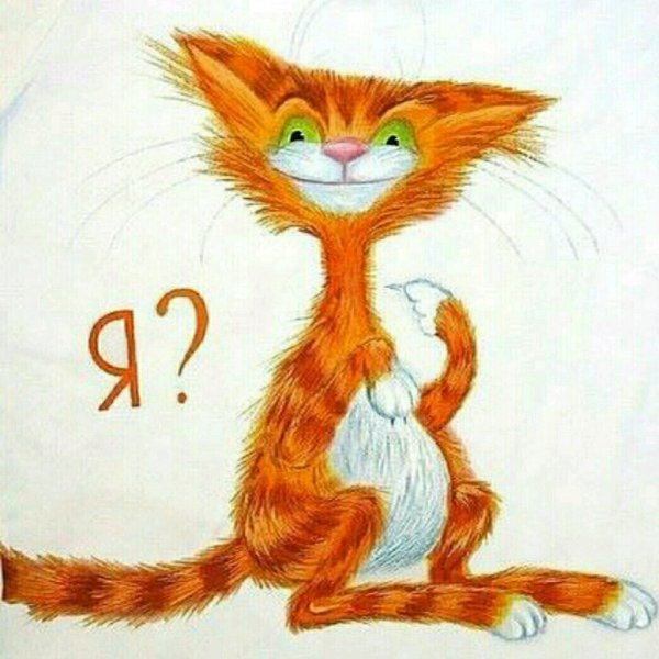 Рыжий кот рисунок