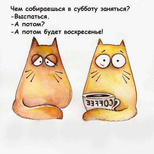 Смешной кот рисунок