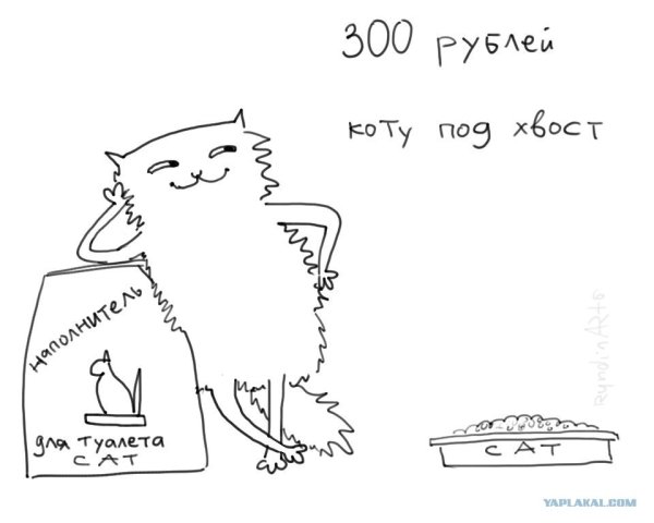 300 Рублей коту под хвост