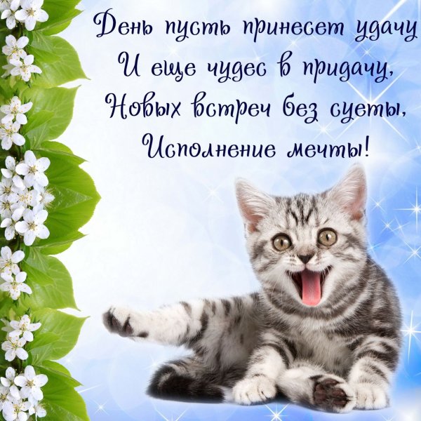 Хорошие пожелания
