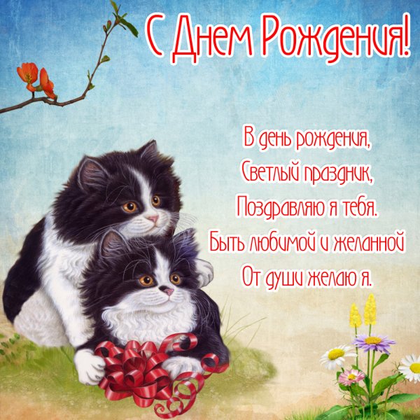 Поздравление с днем рождения с котом