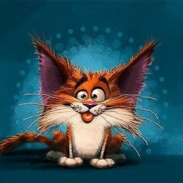 Котики для поднятия настроения
