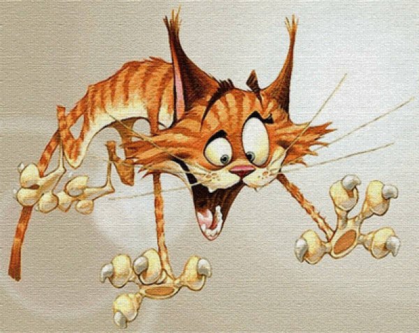 Смешные Рисованные картинки
