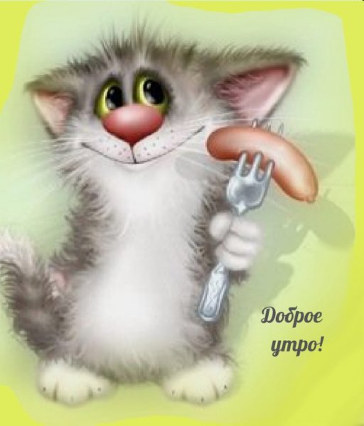 Прикольные коты