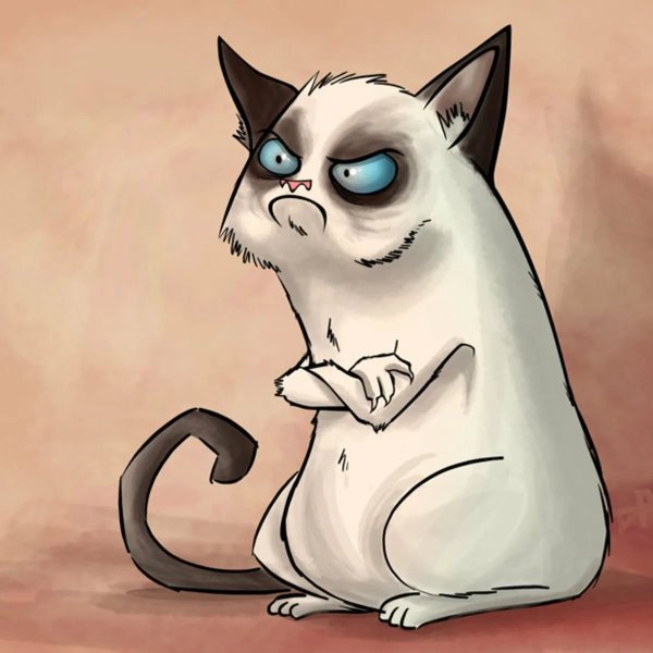 Рисунки котиков