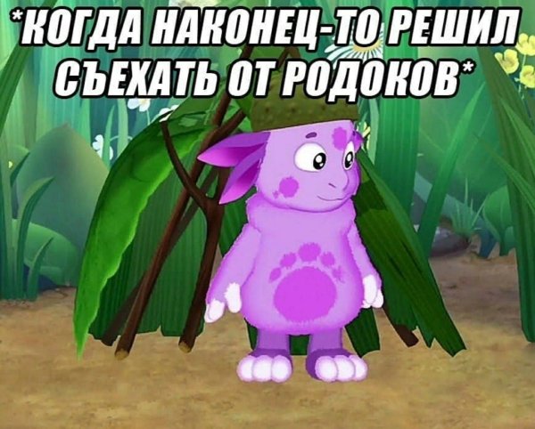 Лунтик Мем
