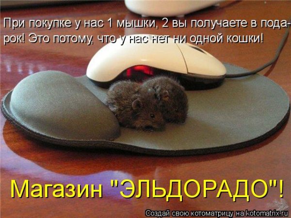 Мышь прикольная