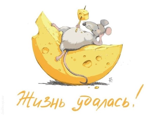 Мышонок с сыром