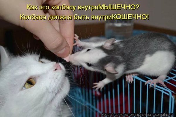 Крыса надпись