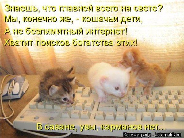 Мышь прикол с надписями