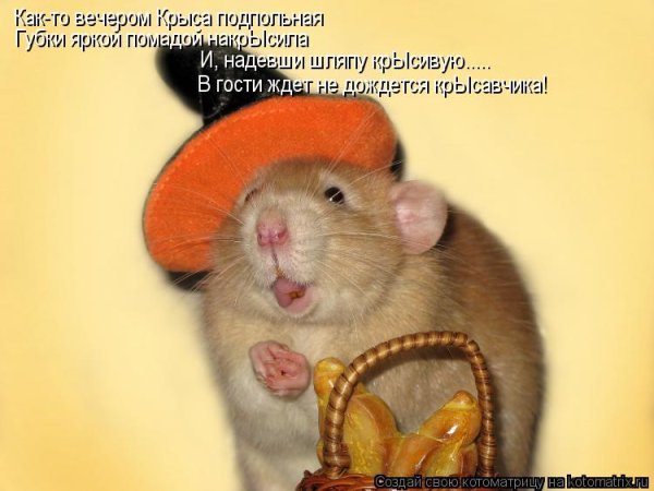 Смешные мыши с надписями