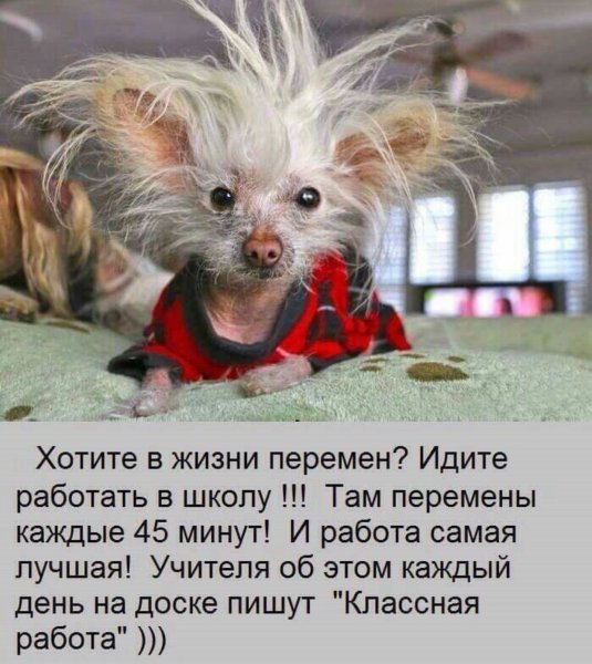 Позитивные афоризмы для поднятия настроения