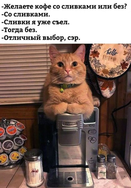 Картинки для поднятия настроения