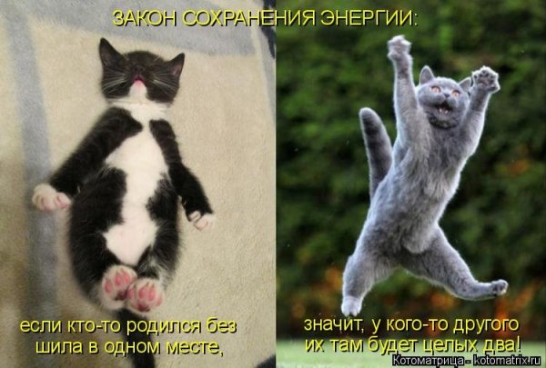 Хорошего настроения с котами с надписями