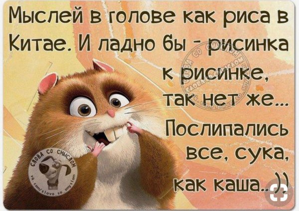 Веселые статусы