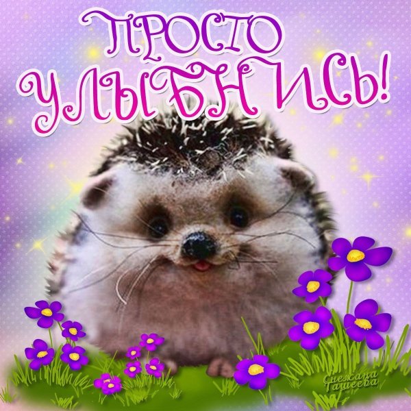 Веселые картинки для настроения