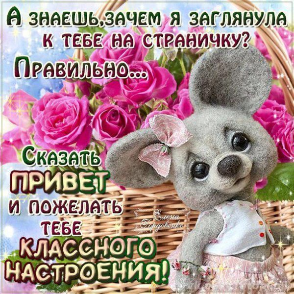 Открытки с приветствием и пожеланием хорошего дня