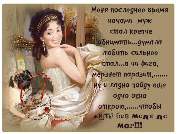 Смешные цитаты про любовь