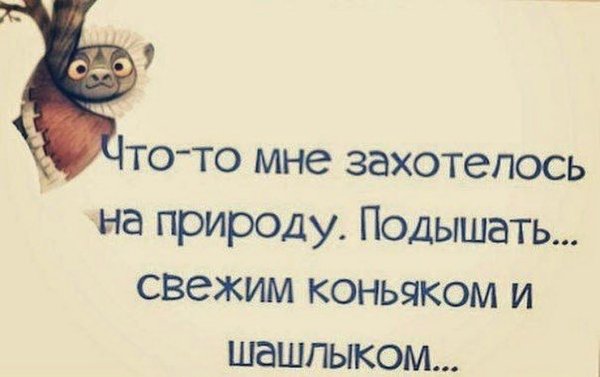 Смешные фразы про шашлык
