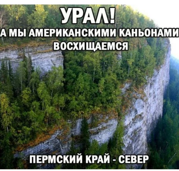 Прикол природа