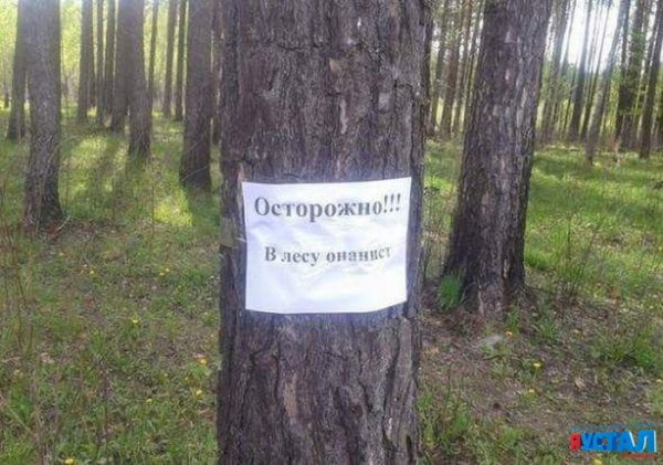 Табличка в лесу прикол