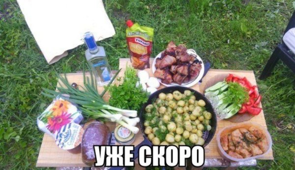 Стол на природе с шашлыками