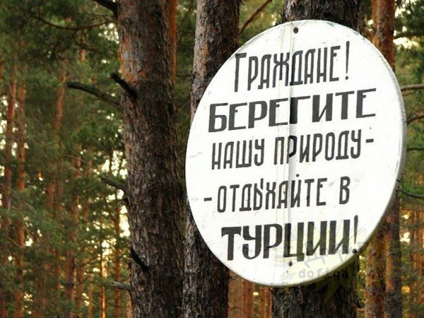 Смешные фразы про природу