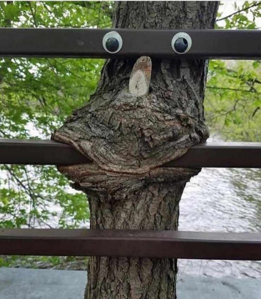 Угарное дерево