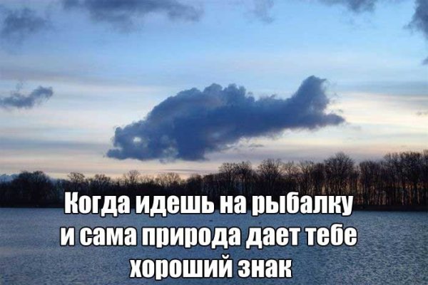 Афоризмы про рыбалку