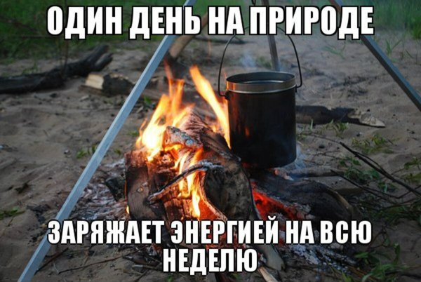 Цитаты про отдых на природе