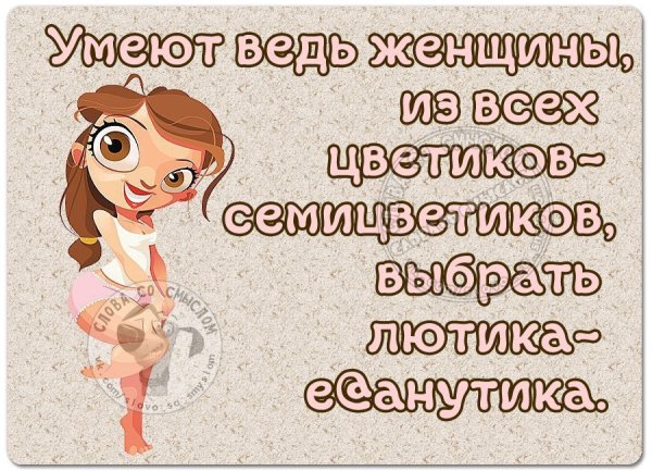 Цитаты приколы про женщин