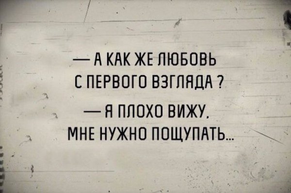 Веселые цитаты