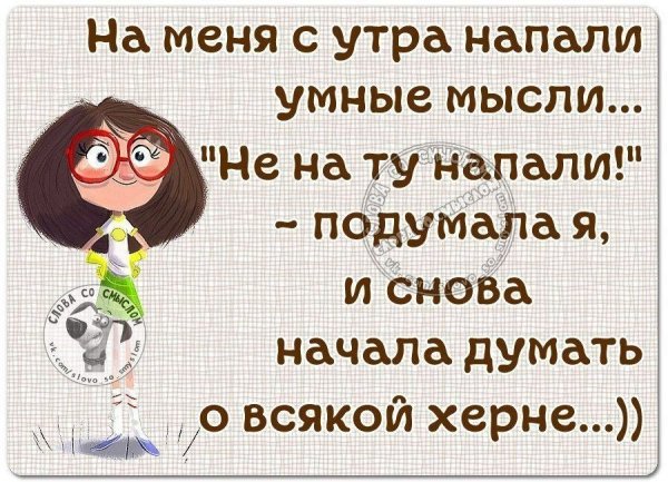 Смешные умные фразы