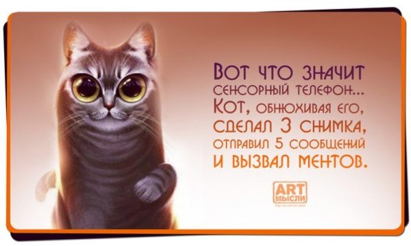 Умные прикольные мысли